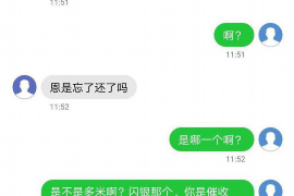 京东金条催收应对：攻略全解析